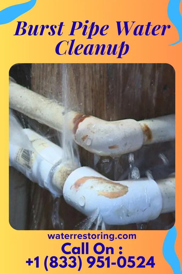 Burst Pipe Water Cleanup in Elk Mound, WI