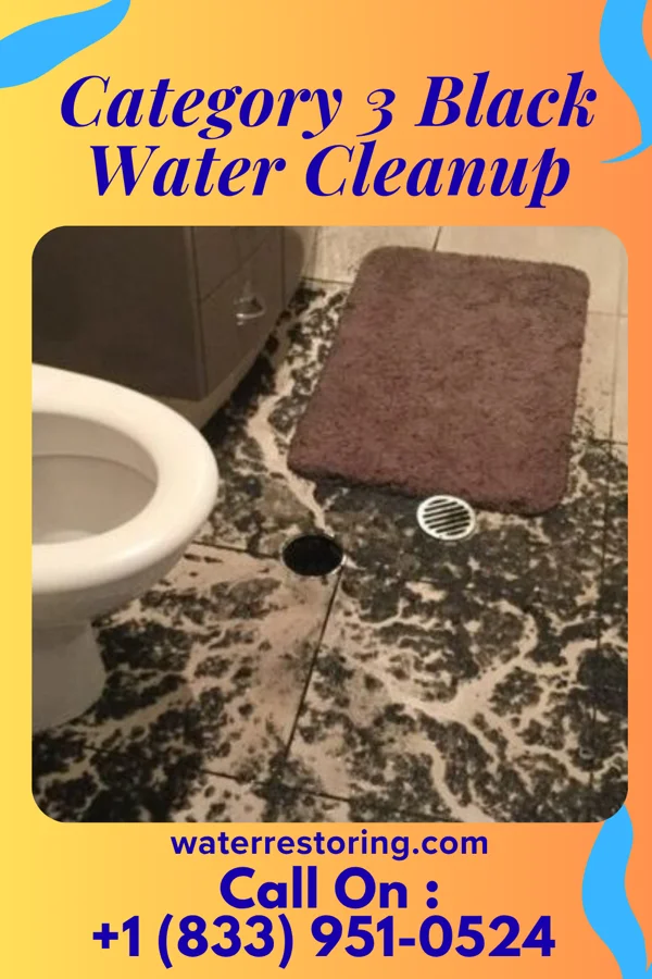 Category 3 Black Water Cleanup in Elk Mound, WI