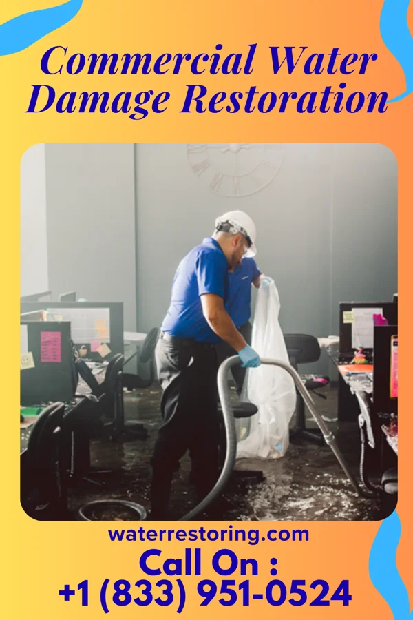 Commercial Water Damage Restoration in Elk Mound, WI