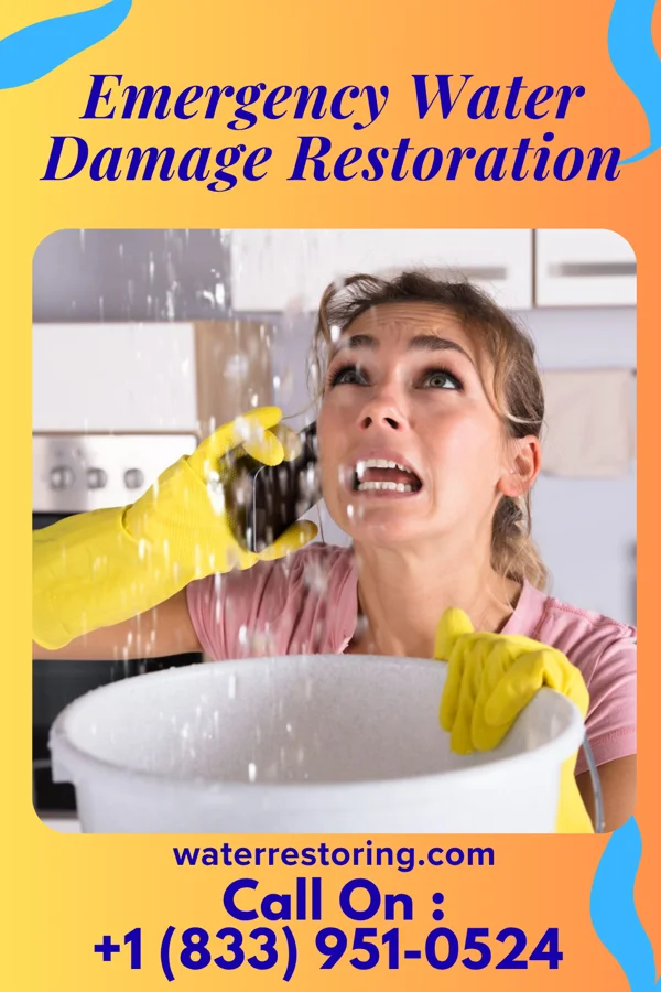 Emergency Water Damage Restoration in Elk Mound, WI