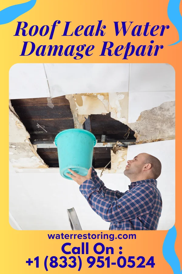 Roof Leak Water Damage Repair in Elk Mound, WI