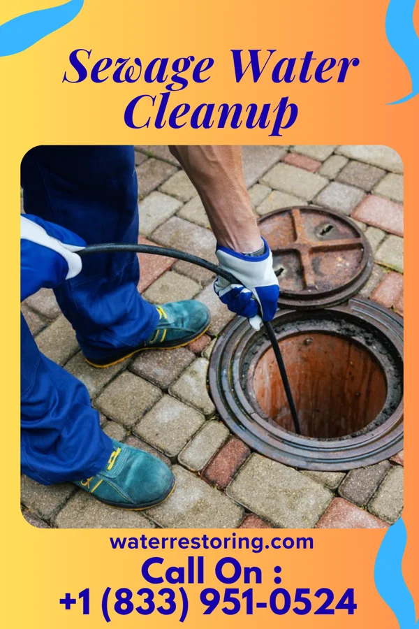 Sewage Water Cleanup in Elk Mound, WI